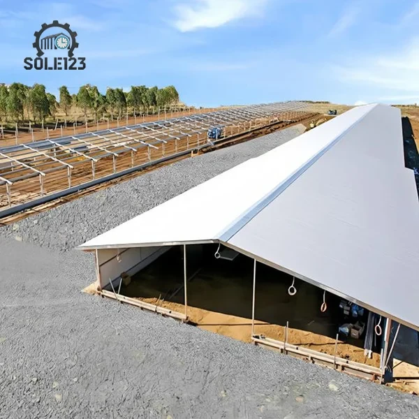 سوله سبک فوری